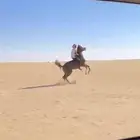 حصان شعبي
