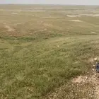 مطلوب للايجار