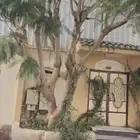 عمارة سكنيه بالطائف   حي قروى