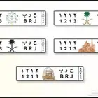 لوحة ( حرب 1213 )