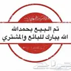 ذكر كناري مطربش