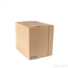 كرتون صغير - 50 حبة