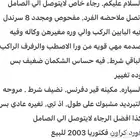2003