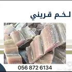 لخم قرينى حضرمى