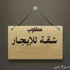 مطلوب شقة للإيجار