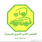 فحص دوري
