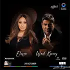 حفل إليسا ووائل كفوري التسليم يد بيد جنب بعض C9