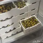 مزارع نخل عدد 330