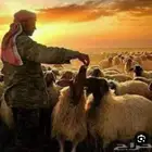 رعاه و مزارعين