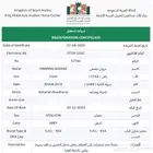 حصان واهو