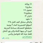 محصول تمر