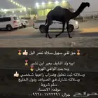 فحل قعدان