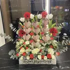 منسق ورود محترف ملم بجميع انواع التنسيقات طبيعي وصناعي