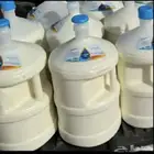 يتوفر حليب ماعز يومي كم يوجود لبن شرط نظافه