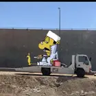 سطحه عرعر