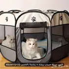 خيمة قطط