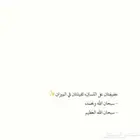 سطحه محايل بارق مجارده