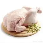 مطلوب دجاج اوزان كبيره