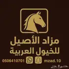 مزاد الاصيل للخيول العربيه