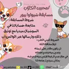 كلب شيواوا تبني مسابقة