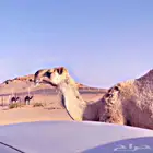 ضروبه شقحاء فوق البداوه مشروطه