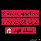 مطلوب شقة للايجار 4 غرف بحي الملك فهد