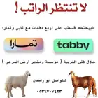 طليان ذبايح سواكن ورفيديات وحريات رقم واحد