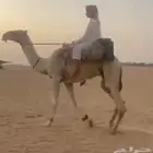ركبي طووع اوضح