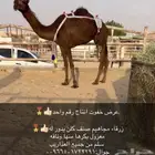 عشرا ضروبه