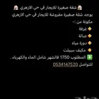 غرفة وصالة مفروشة فالازهري