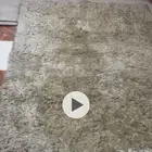 فرشه نظيفه ابوشعر مغسل وجاهز