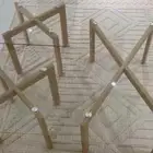 طولة قزاز بيشة