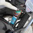 رامبو أصلي للبيع السوم يكون فوق 400