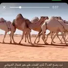للبيع نياق