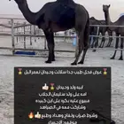 فحل مجهم