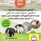 ذبايح شامل ذبح وتوصيل