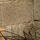 سلك دش