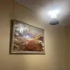 لوحه