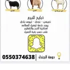 ذبايح طيبه دومة الجندل