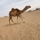 خلفه