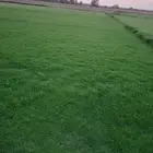 ثيل سي 2000 المتر ب 11 ريال