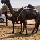 خلفه