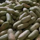 حبحب للبيع بالجملة