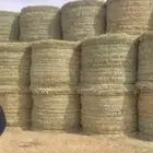 رودس لفات تماتيك وزنه من 200 كيلو إلى 250 شرط