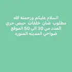 مطلوب ضان ولد مراح