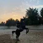 تدريب ركوب خيل رجال ونساء وأطفال