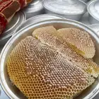 عسل سدر انتاج جديد