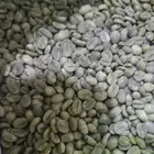 قهوه خولاني خضراء رقم 1