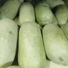 حبحب سيدلان للبيع