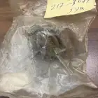 بلف رجيع